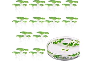 Floating Plastic Duckweed for Lifelike Fish Tank Adornment