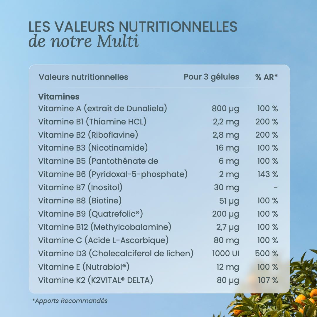NUTRI & CO Multivitamines et Minéraux 25 Nutriments - Vitamines A B C D3 E K2 + Minéraux dont Magnésium et Zinc - Haute Absorption - 90 Gélules Vegan Friendly Conditionné en France
