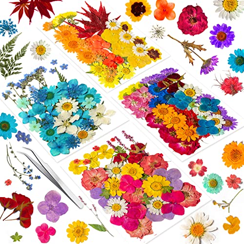 Image of 191PCS Real Nature Dried Pressed Flowers for Resin Mold, Dry Pressing Floral Set for DIY Jewelry Making Nail Card Scrapbook Art Craft Decors Blossom