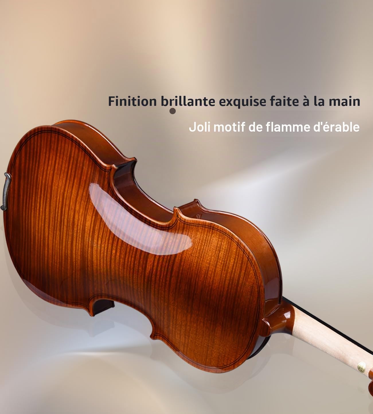 Violon 4/4 Adulte Aileen, Violon Débutant Aspect Antique Brillant