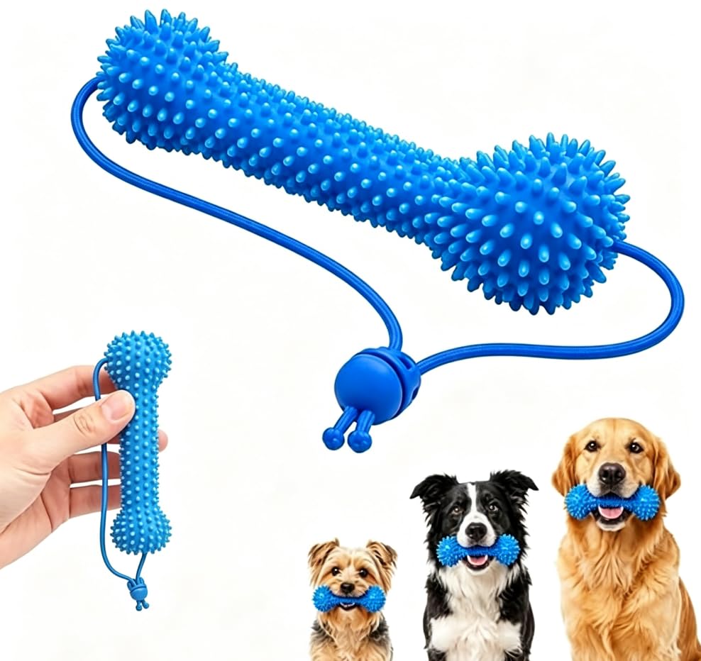 2-in-1 Hundezahnpflege Kauartikel - Maulöffner zum Zähneputzen für Kleine Mittlere Große Hunde, Hundespielzeug Kauen, Reinigt Hintere Backenzähne, Reduziert Zahnbelag und Mundgeruch
