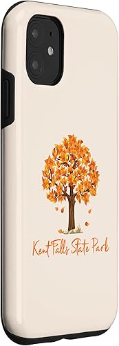 Miniatura 3 de Funda de color para iPhone 11 Kent Falls State Park Autumn Follage Fall Leaf Peeping