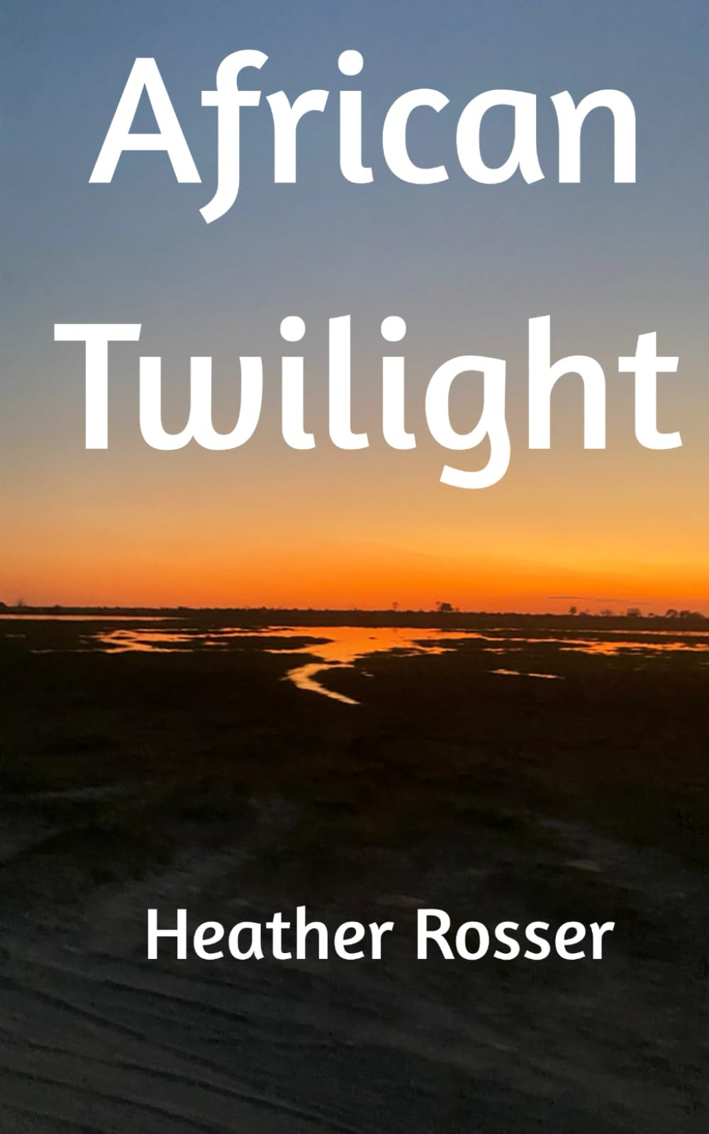 African Twilight