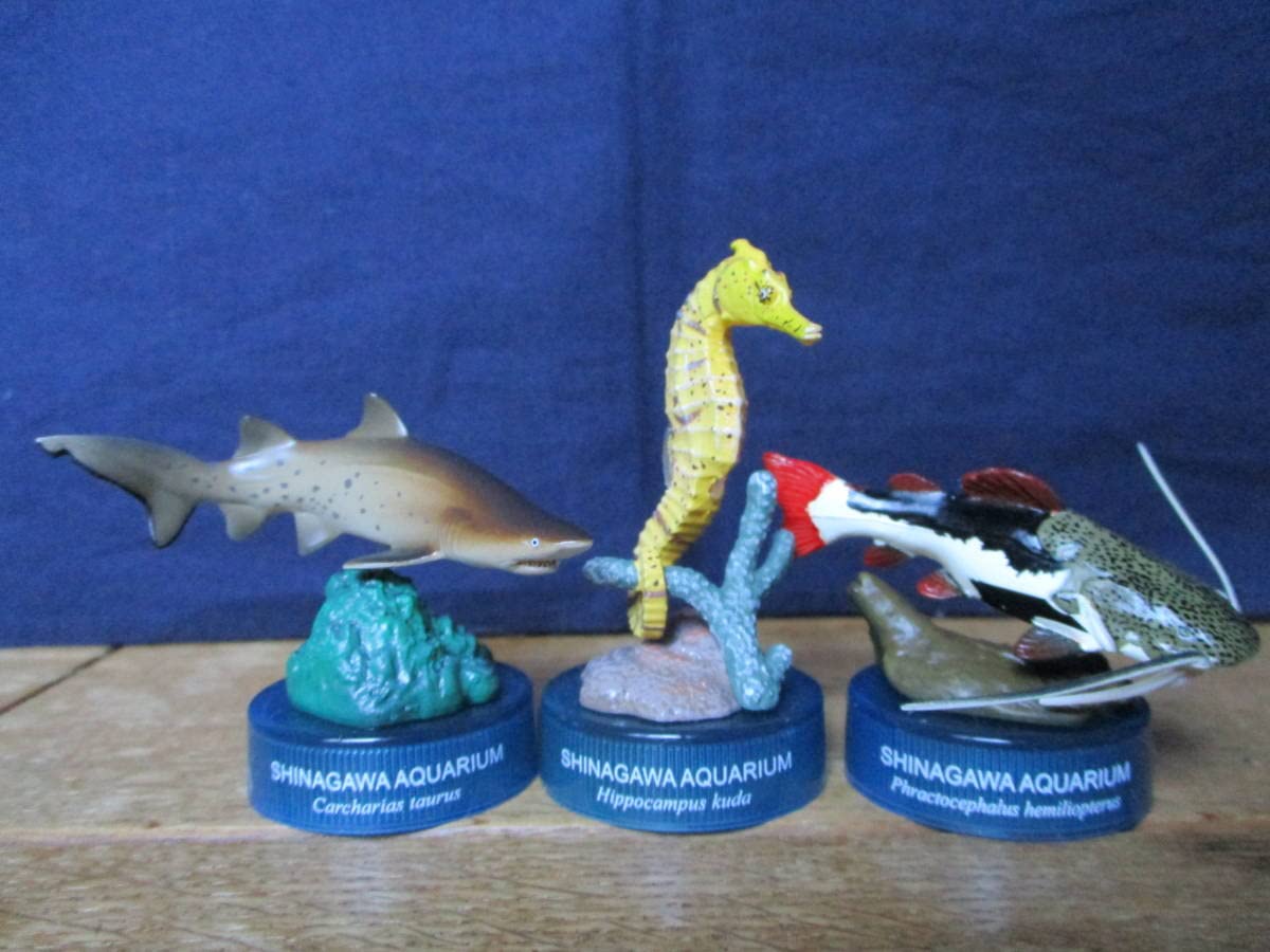 海洋堂 日本水族館立体生物図録 全14種 しながわ水族館 Amazon.co.jp: 日本水族館立体生物図録 しながわ水族館