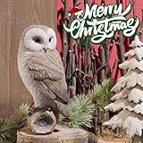 LC LCdecohome Owl Outdoor Statues Garden Yard - Decoration Home Decor Indoor Desk Tabletop Collectible Figurines Ancient Retro Collection 11