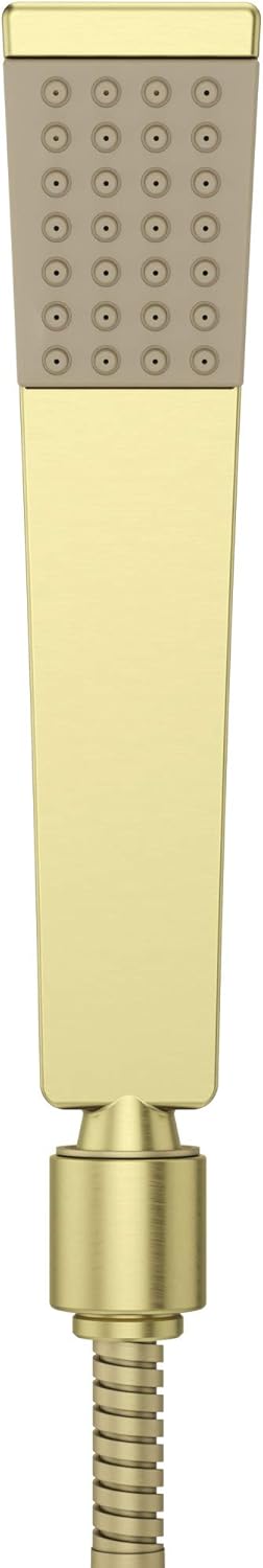 Pfister, LG16-FW1C, Park Avenue Single Function Hand Shower, Polished Chrome