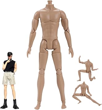 Action Figure Body, 1/6 Scale Action Figure, Multi Jointed Movable Male Muscular Body for Display Doll Collection, Medium