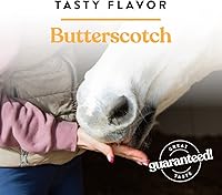 Vista 4 de Manna Pro Nuggets de Tamaño Mordisco para Caballos, Golosinas Sabor Butterscotch para Entrenamiento de Caballos, Recompensa y Fortalece el Vínculo