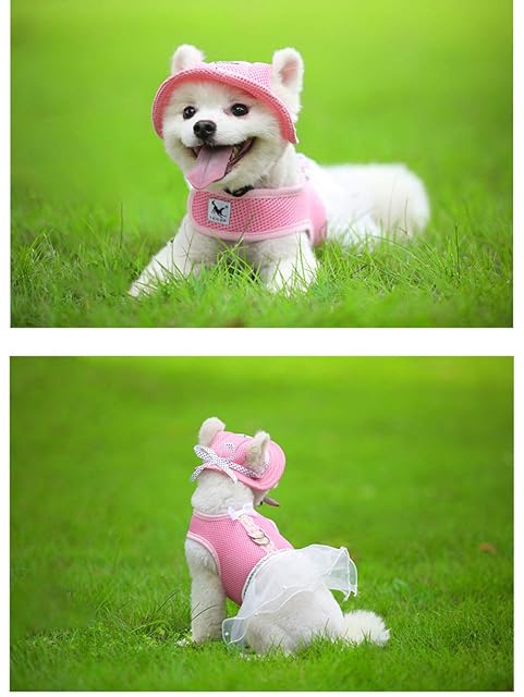 Foto 3 de 4 de Egurs - Gorro para Perros pequeños, Color Rosa, Medium