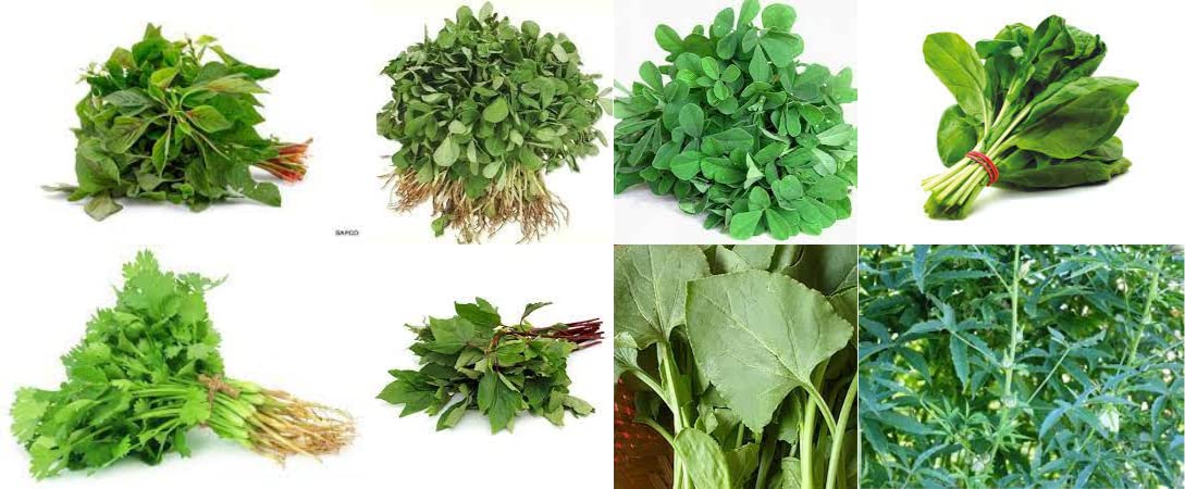 advancedestore Green Leafy Native vegetable seeds kit pack of 8 With 100,000 Seeds and Instruction Manual- Germination Guaranteed