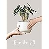 Product Photo 8