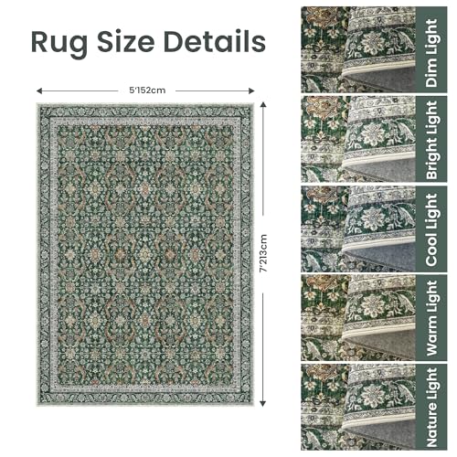 Rugland 5x7 Area Rugs - Stain Resistant Washable Rug, Anti Slip Rugs for Living Room, Vintage Tribal Area Rugs(Vintage01-Green, 5'x7')
