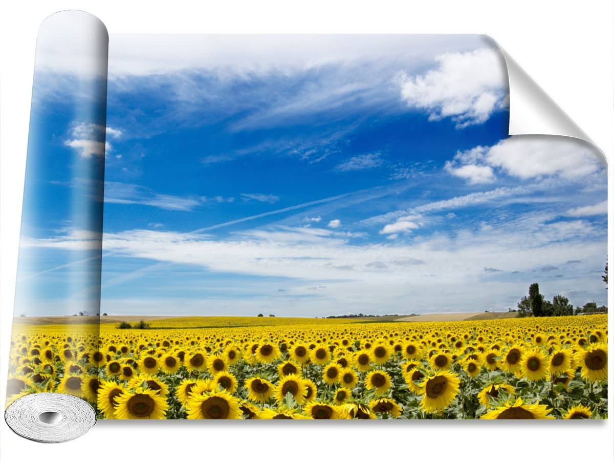 Papier Peint Tournesol Tulup pour un Salon Lumineux et Nature
