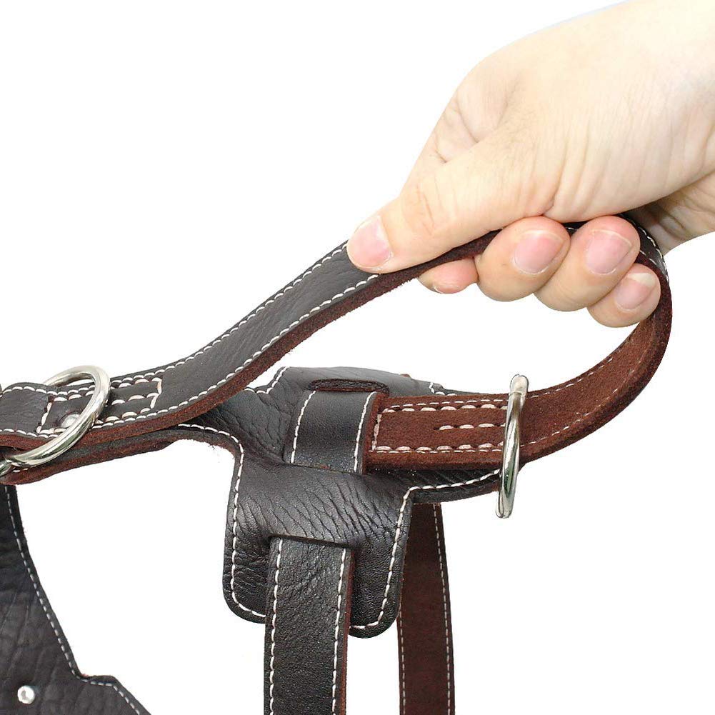 Harnais en Cuir pour Chien - Cuir Véritable | JuJuLuxeHarness™ – La Niche de Jules | Articles pour Chiens et Chats