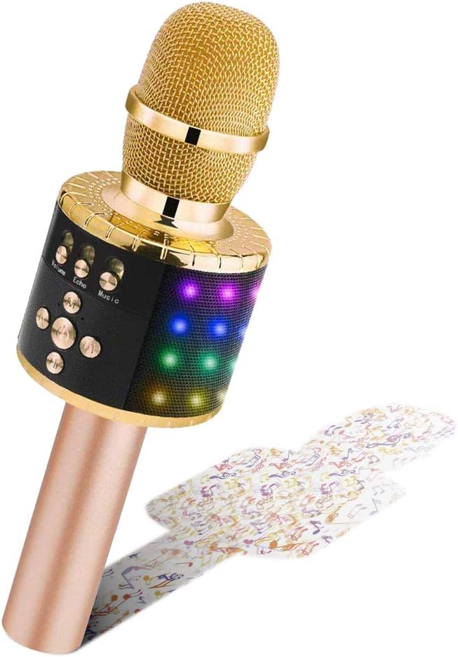 macchina per karaoke con due microfoni