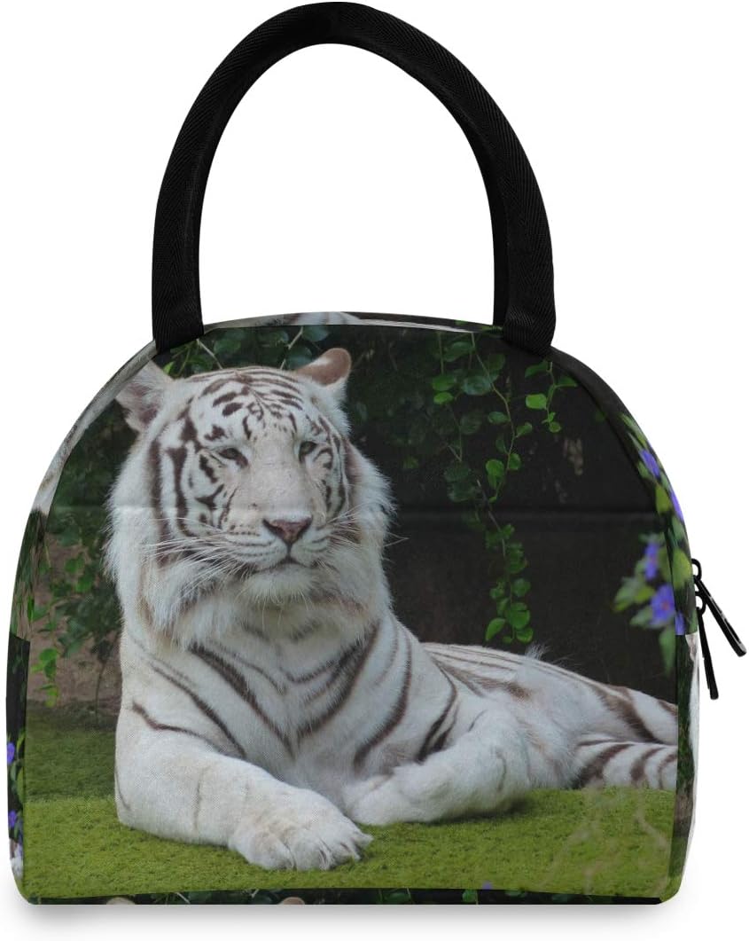 scatola di pranzo tigre per il cibo caldo