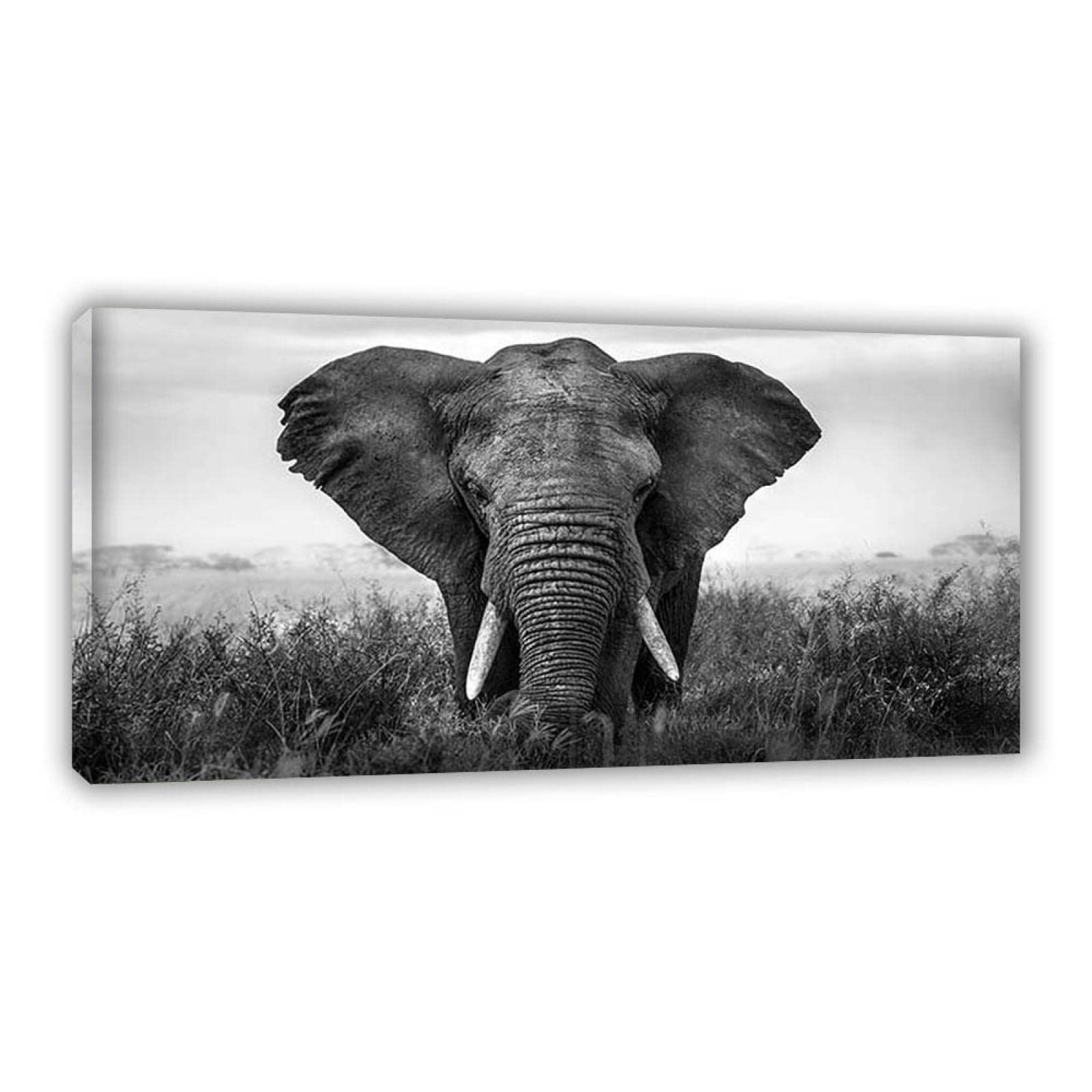 Wandbild mit Tiermotiv, Schwarz-Weiß. Gerahmte Leinwanddrucke für Wohnzimmer: Elefant auf dem Grasland. Kunst-Tiergemälde auf Leinwand, 40 x 80 cm, verpackte Leinwand