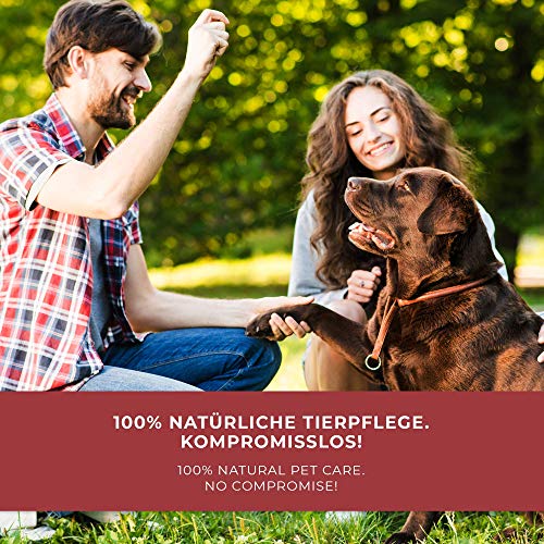 Bio Pfotenbalsam von Birsppy für Hunde und Katzen zur Pfotenpflege