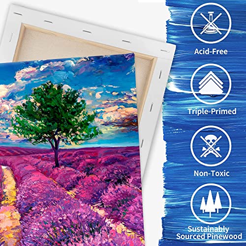 Image of FIXSMITH Stretched Canvas, Multipack of 8, 5x7, 8x10, 11x14 & 12x16 Inches - 2 of Each, 100% Cotton, 8 oz Gesso-Primed, Art Supplies for Acrylic and Oil Painting.