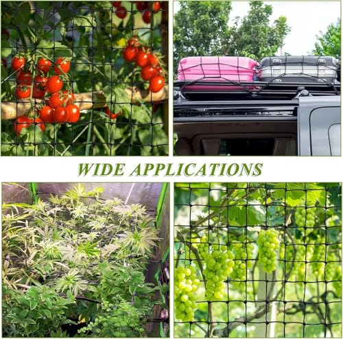 Zikenis Wachsen Zelt Netz 100 x 100 cm, Scrog Netz,Elastisches Mesh Zelt Ranknetz,Grow Netz mit 4 Haken,für GemüSe-,Obst-Und Blumenpflanzen Verwendet,für Hof,Gartenarbeit,Garten,Balkone (100 x 100 cm)