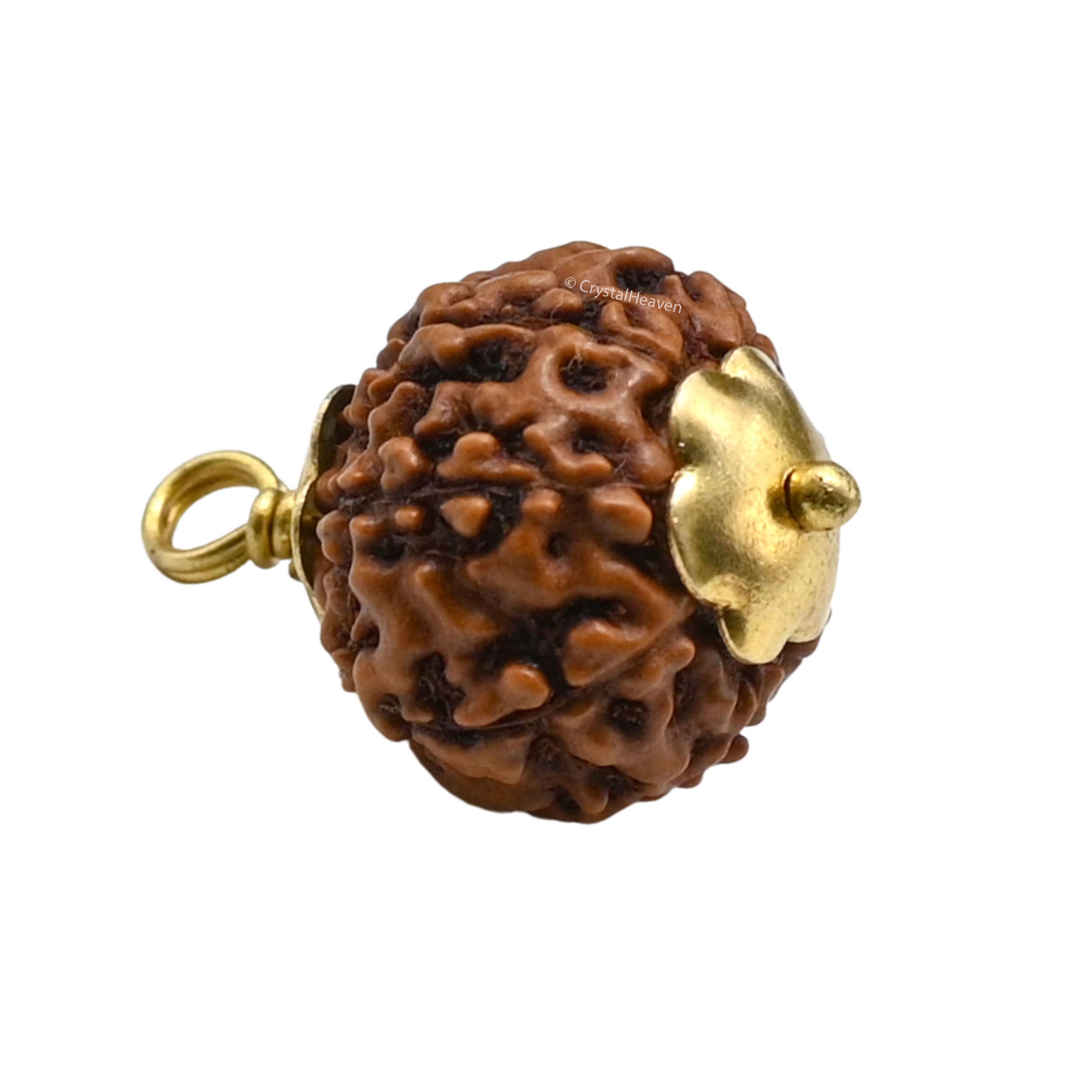 Crystal Heaven Rudraksha Original 7 Mukhi Pendant Necklace for Women Men | Certified Rudraksha with Velvet Pouch (Gold) 1