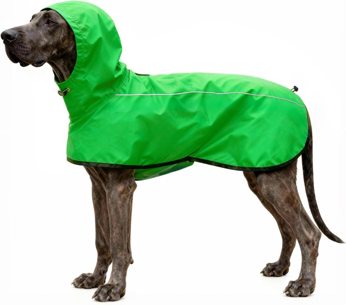 Dog Raincoat Jacket Reflective Adjustable Hooded Pet Poncho Rain Coats with Leash Hole Waterproof Clothes for Small Medium Large Dogs (Green, M)