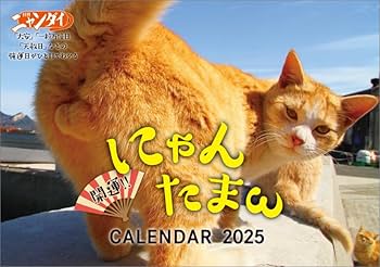 にゃんたさん 専用。2025 eSL にゃんたさん 専用。2025 eSL Amazon.co.jp: トライエックス