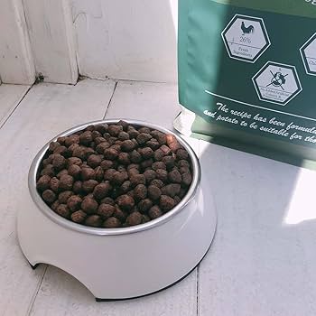 Amazon.co.jp: 【トライアルセット】フェイヴワン FAVEONE 全犬