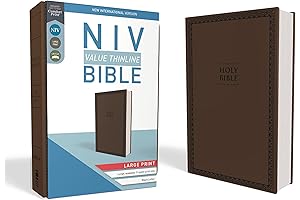 NIV Value Thinline Bible, Large Print