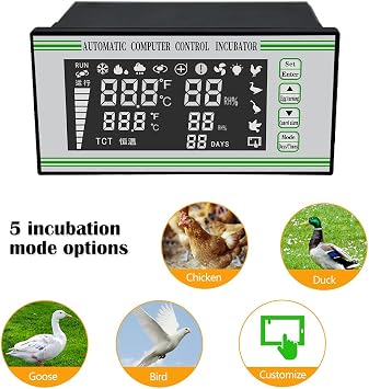 Automatic Control System for Egg Incubator Machine and Temperature and Humidity Control Machine (XM-18S)