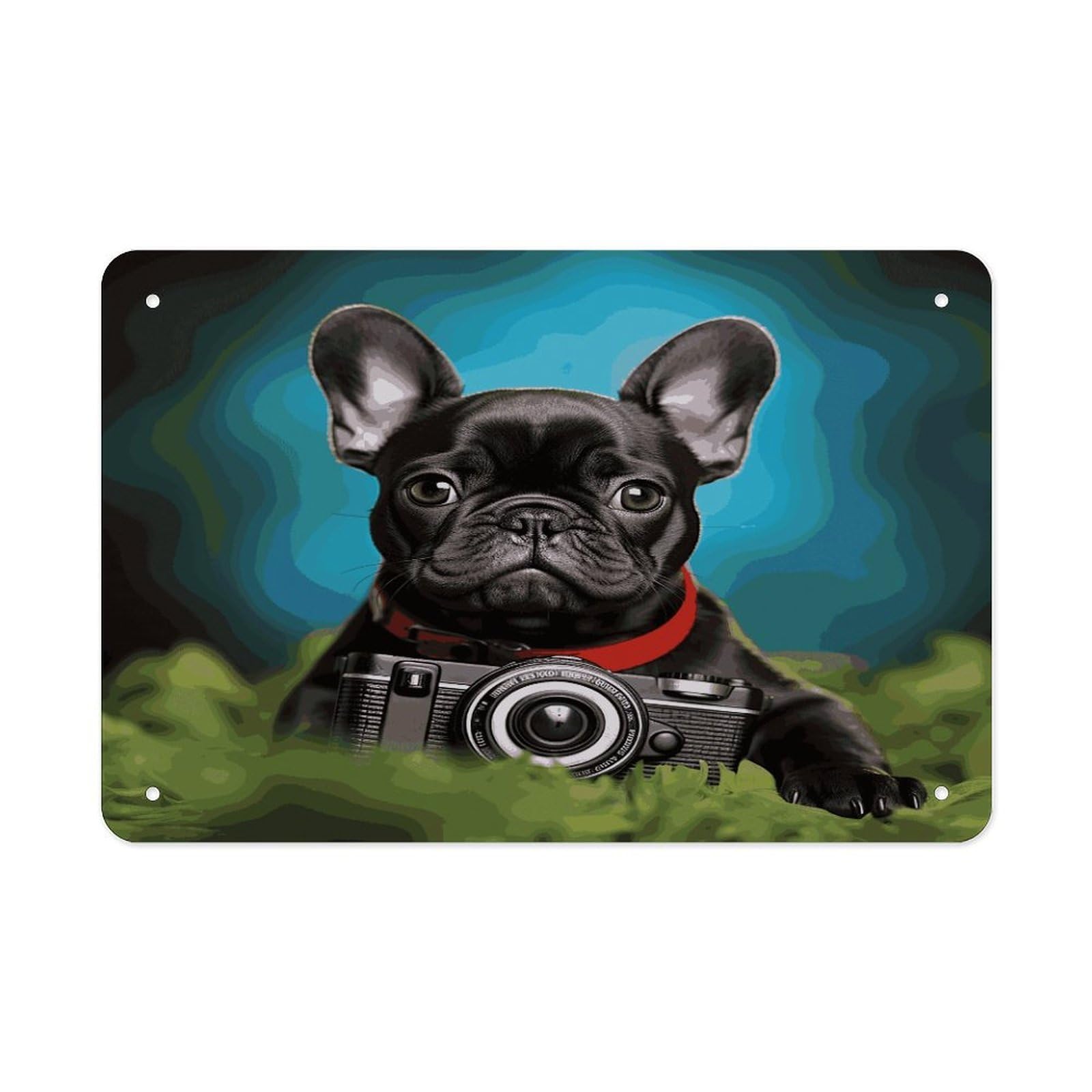 Fekiloot Style French Bulldog Puppy With Camera Metal Signs Wall Art Tin Sign