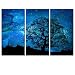 Starry Space Canvas Wall Art,Landscape Home Decor,Nature Landscape Picture Art,Canvas Prints,Autumn Forest Wall Decor,Wall Decoration (Starry Night)