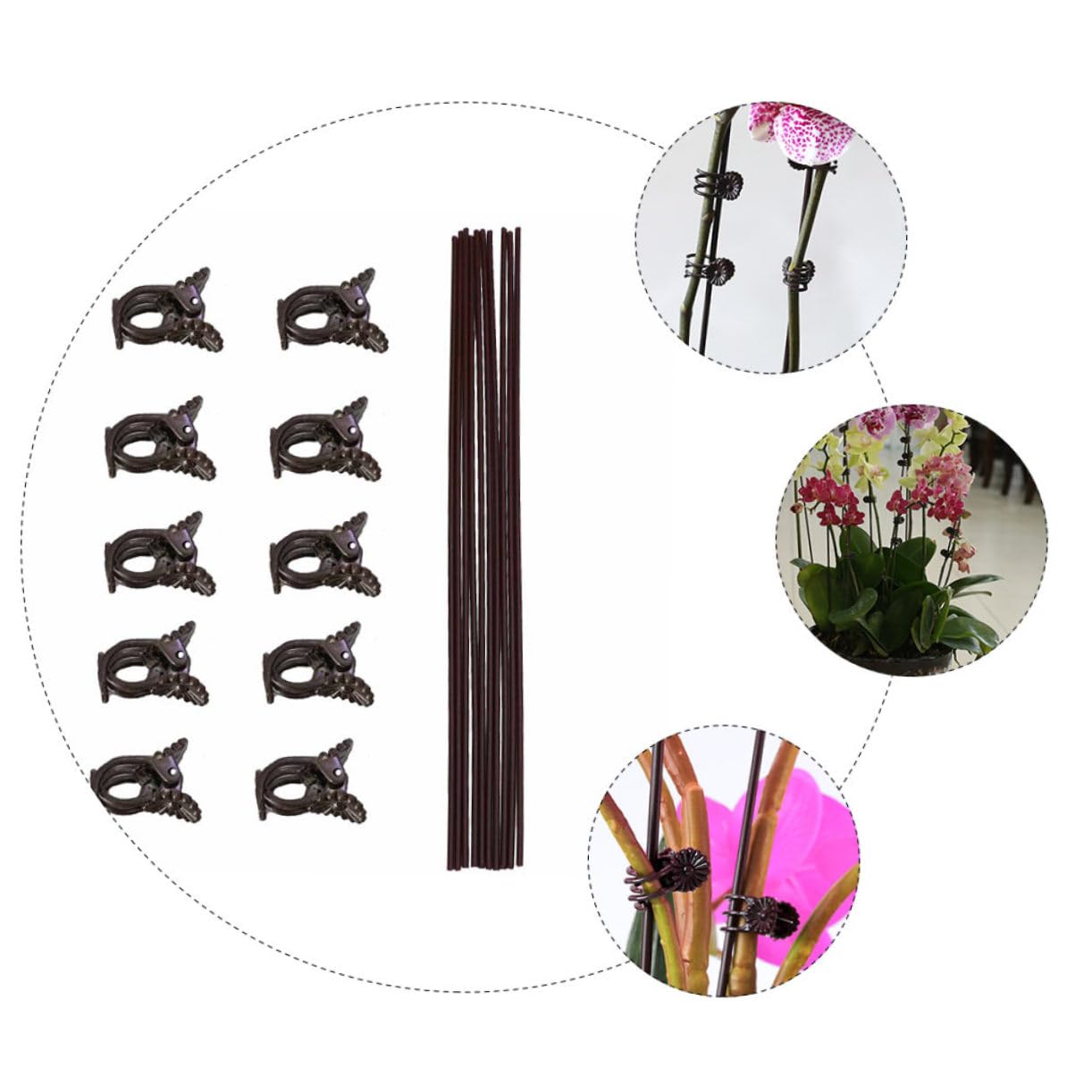 Abaodam 2 Sätze Teiliges Set Pflanzenklemmen Für Kletterpflanzen Phalaenopsis Halterungen Mit Clips Und Eisenstützen Zur Unterstützung Und Fixierung Von Pflanzen 20 Stück * 2