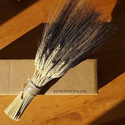 Blackbeard Wheat Sheaf by Nettleton Hollow