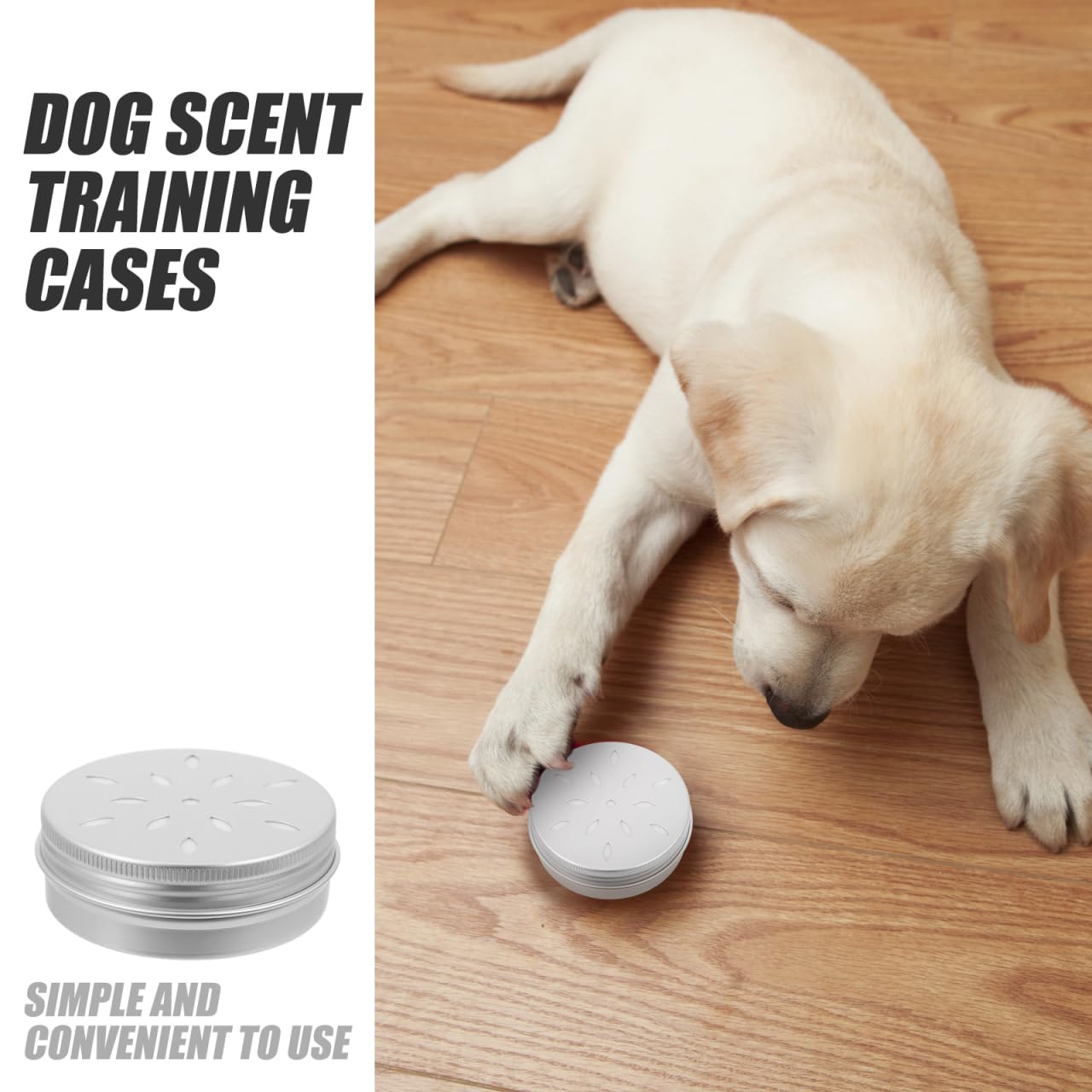 Mipcase Lot de 10 boîtes d'entraînement pour Chiens en Aluminium avec Trous d'aération pour favoriser la capacité à renifler et soulager Le Stress Lors de l'entraînement des Chiens