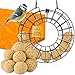 zooprinz Premium Futterring mit 50x Meisenknödel zum Aufhängen, Meisenknödel Halter – Perfekt für alle Vögel als Ganzjahresfutter – Die Wildvögel Werden es lieben - Futtersäule Vögel