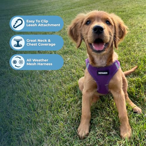 Image of Voyager Step-in Air All Weather Mesh Harness and Reflective Dog 5 ft Leash Combo with Neoprene Handle, for Small, Medium and Large Breed Puppies by Best Pet Supplies - Purple (Matching Trim), XL