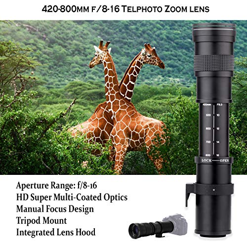61JSdwVJ1IL Canon EOS Rebel T7 DSLR Camera with 18-55mm is II Lens Bundle + Canon EF 75-300mm III Lens & 420-800mm Preset Telephoto Zoom Lens + 32GB Memory + Filters + Spider Tripod + Professional Bundle - Image 6