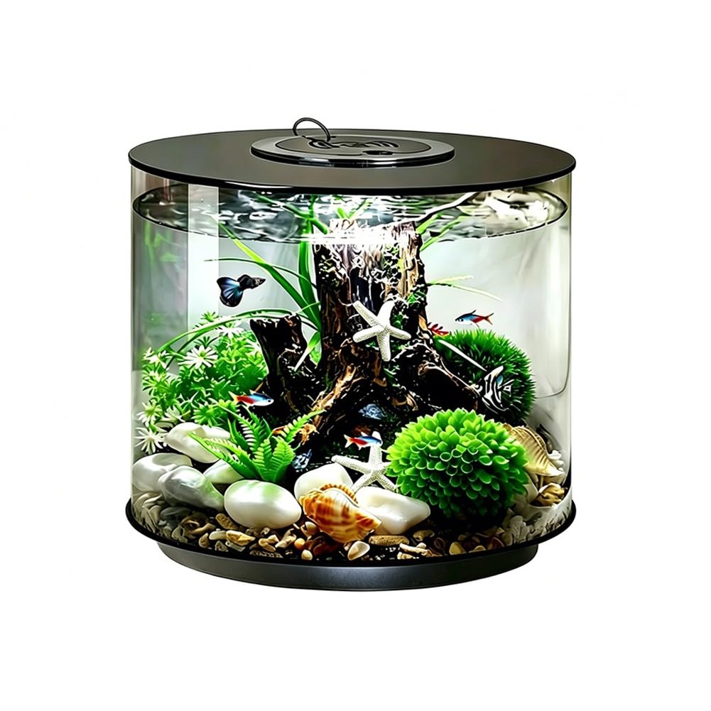 Acquario da tavolo cilindrico in acrilico