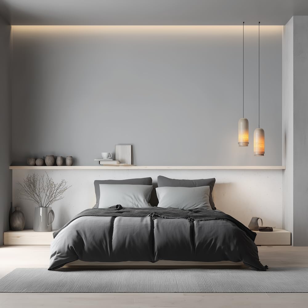 EVOLVE Paint & Primer: Environment-friendly, Low Sheen with One-coat Coverage for Interior & Exterior surfaces (Graphite Gray, 1-Gallon)