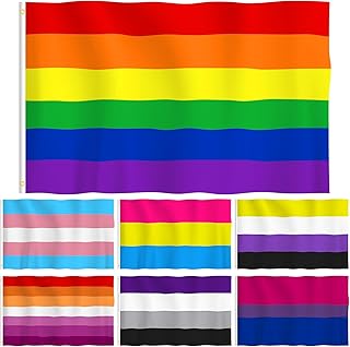 7 Pcs Large Pride Flag Bulk 3 x 5 ft Lgbtq Pansexual Trans Lesbian Banner Parade Rainbow Flags for Women Men Gay Pride Month Vivid Color and Fade Proof, 7 Styles