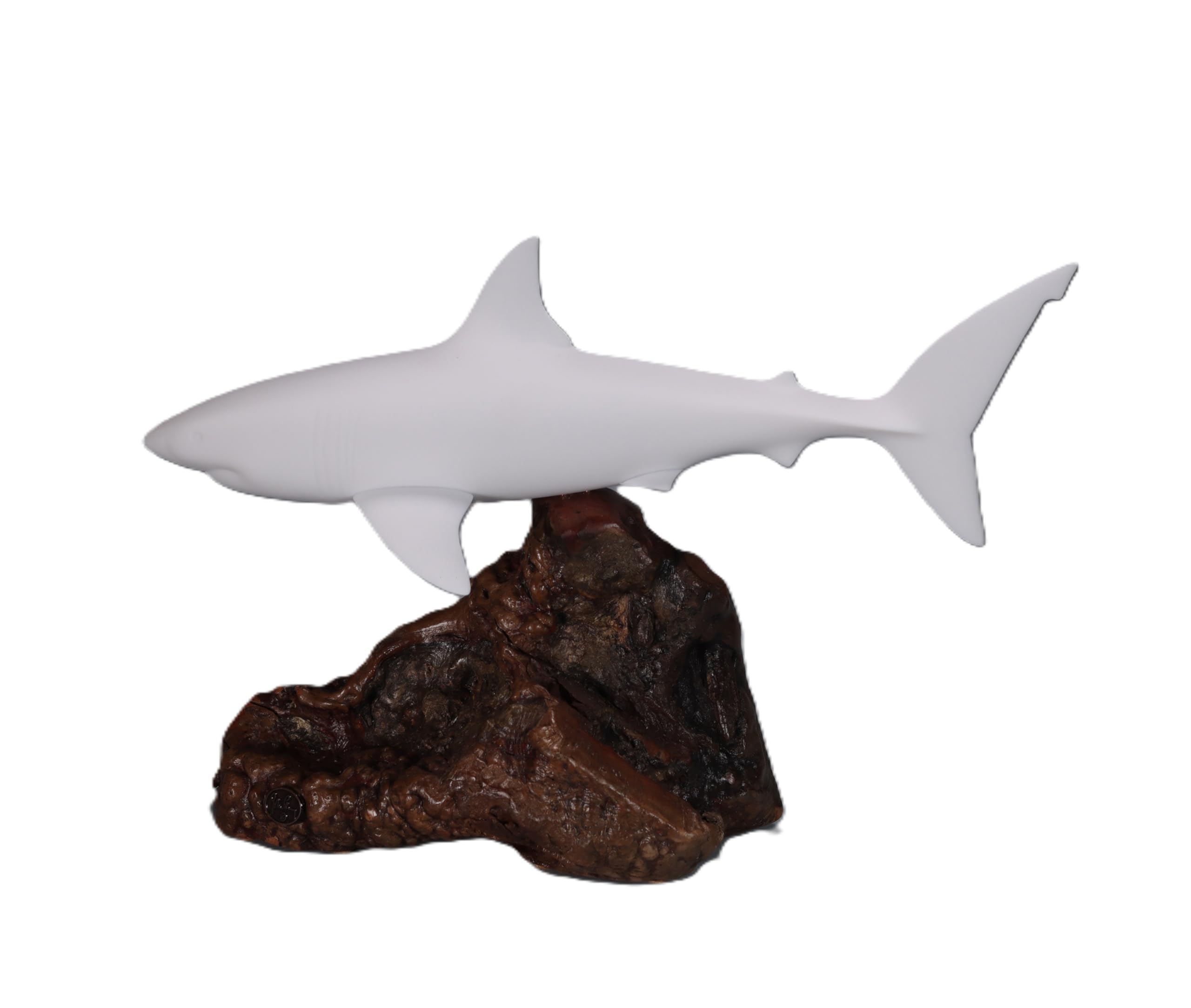Amazon.com: Great White Shark Sculpture by John Perry 15 in Long