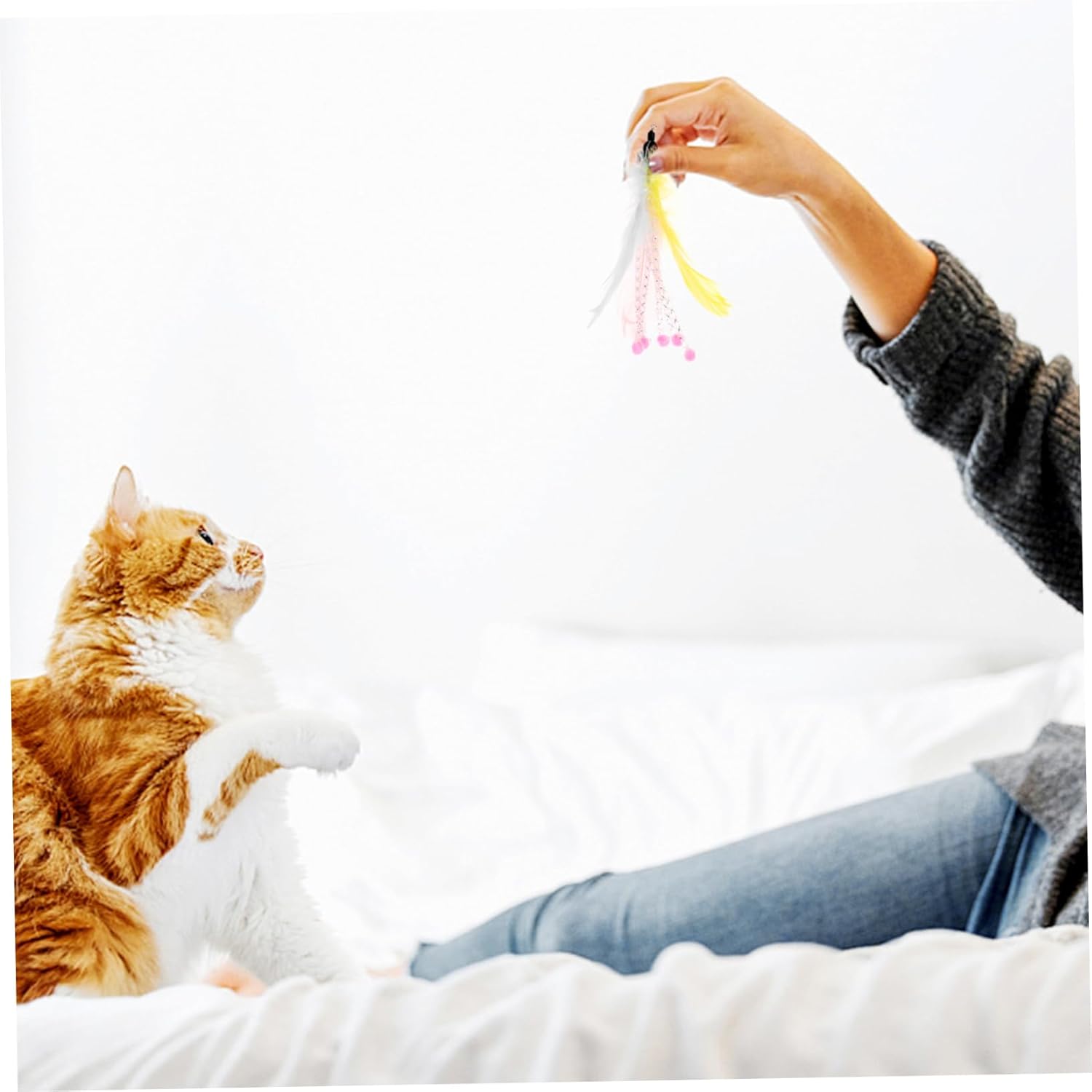 40pcs Interactive Cat Toys Replacement Wands for Cats Plume Playthings for Indoor Fun Teaser Toys for Active Play and Behavior Reinforcement