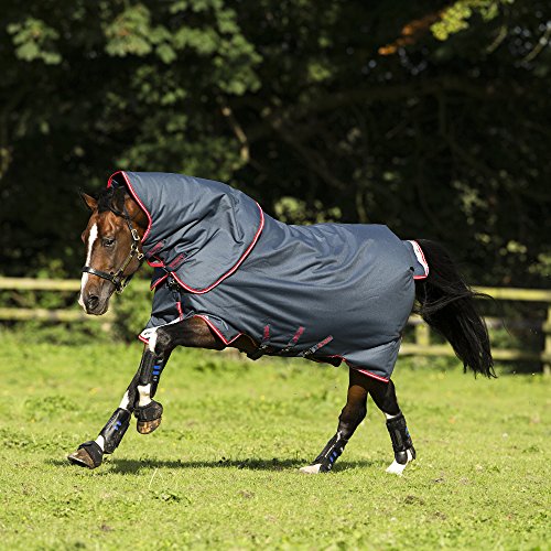 Horseware Amigo Bravo 12 Plus Medium Turnout Rug 5-6" Navy/Red & Blue