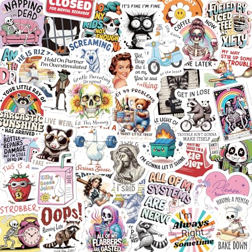 BANBBUR 200 PCS Funny Stickers for Adults,Sarcastic Holographic Vinyl Sticker Packs,Funny Decals Waterproof Stickers for Water Bottle,Laptop, Phone,Kindle,Luggage,Scrapbook,No Repeats