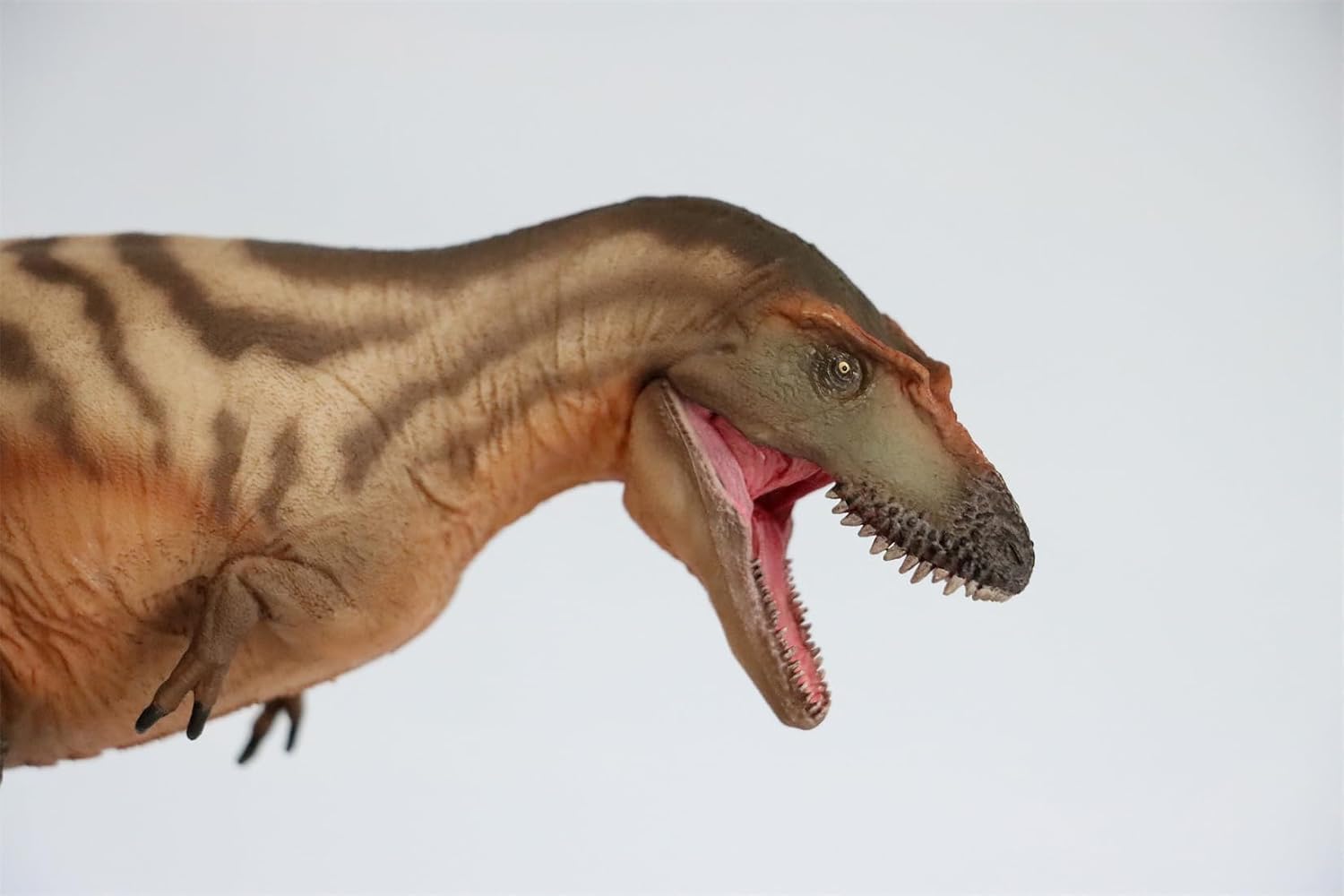 71 Gorgosaurus Tristan Figure Tyrannosauridae PVC Animal Model Mouth is Movable Dinosaur Decoration