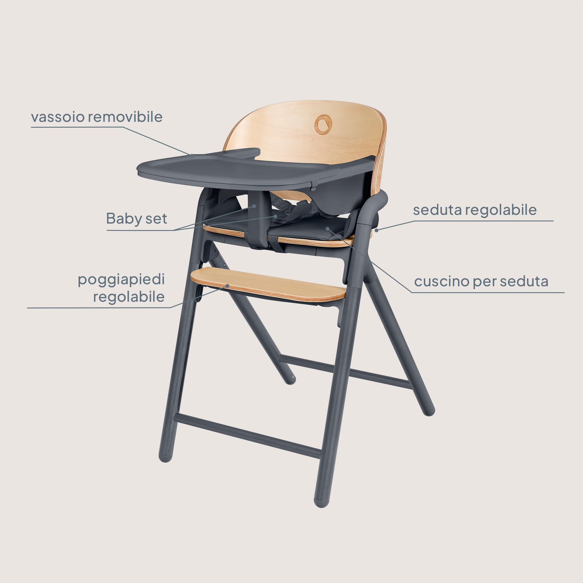 LIONELO Celia Seggiolone Pappa in Legno per Bambini da 6 Mesi e Adulti | Evolutivo per Bambini e Adulti fino a 90 kg, Poggiapiedi Regolabile e Cintura di Sicurezza a 5 Punti