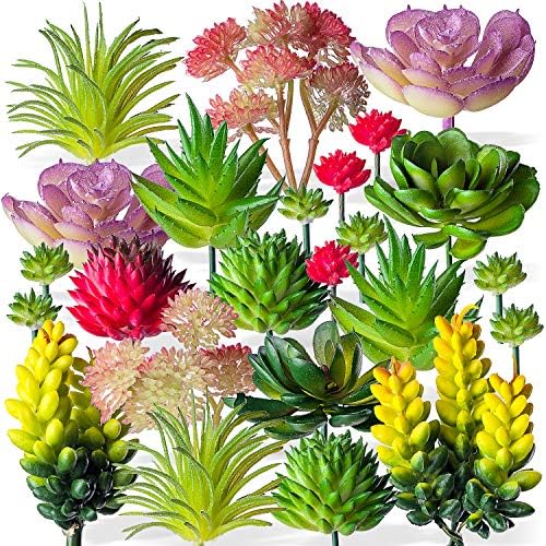 Housenior 24 Pack Mini Artificial Succulent Plants Unpotted : Fake Succulents Picks Realistic Plastic Cactus Stems for Terrarium Bulk Small Faux Assorted Arrangements Flocked Greenery