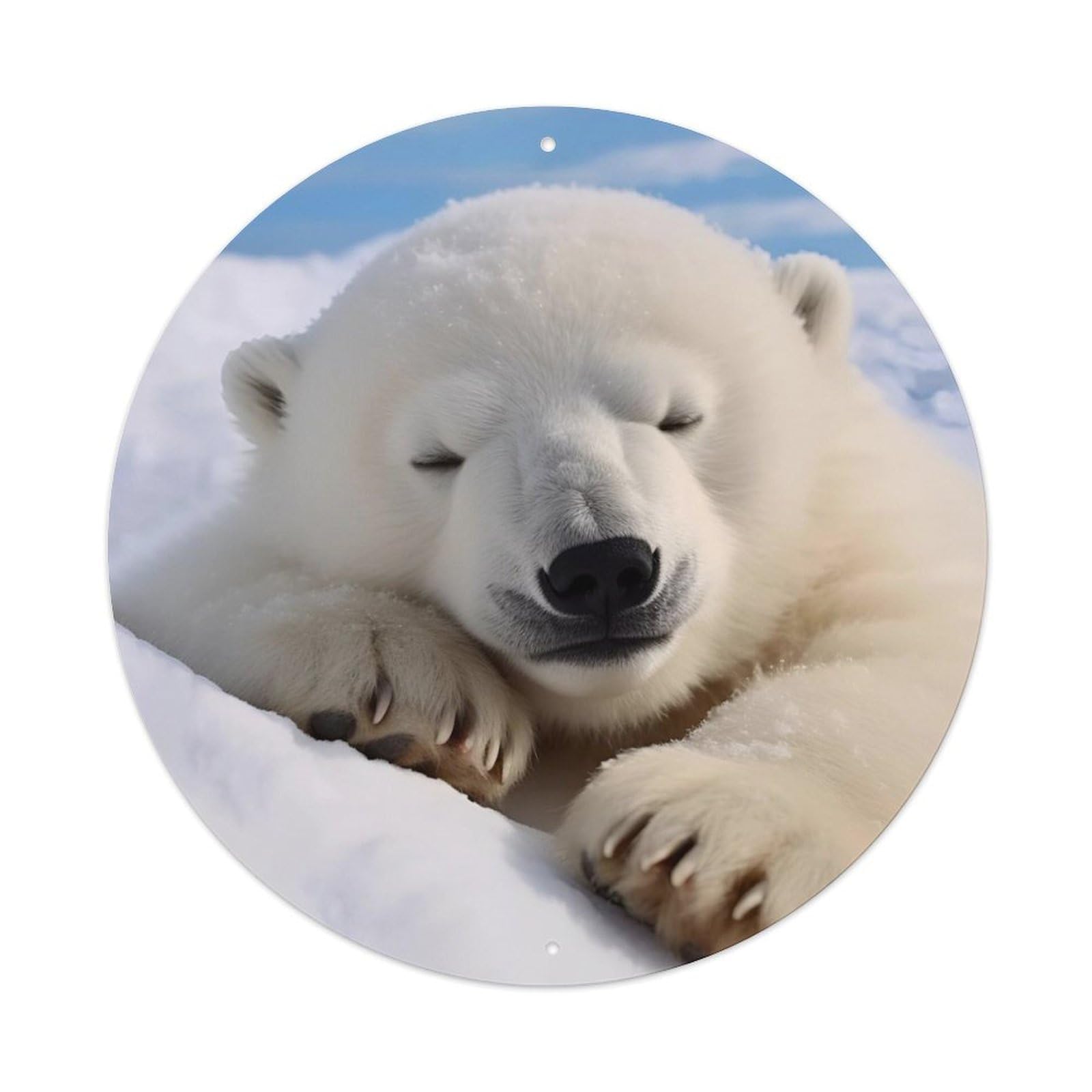 Animal Artwork Sleeping Polar Bear Metal Tin Sign