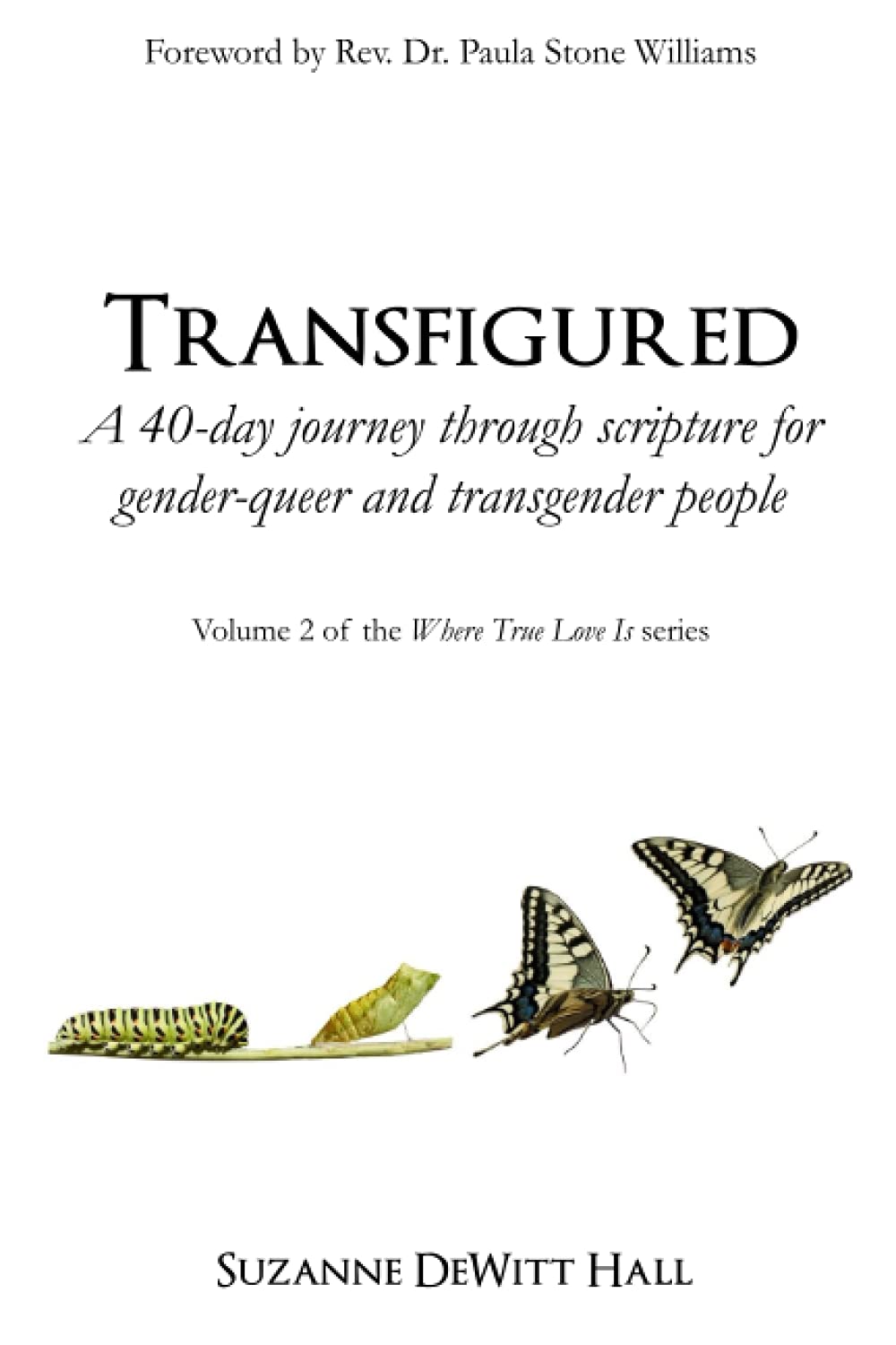 Transfigured: A 40-day journey through scripture for gender-queer and transgender people: Volume 2 (The Where True Love Is Devotionals)